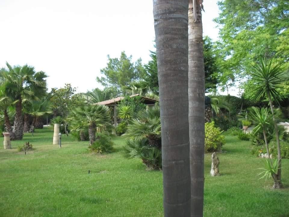 Villa Cecilia Matino Bagian luar foto